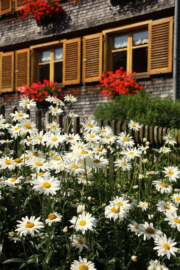 Villa Ferienhof Metzler Schwarzenberg im Bregenzerwald Exterior foto