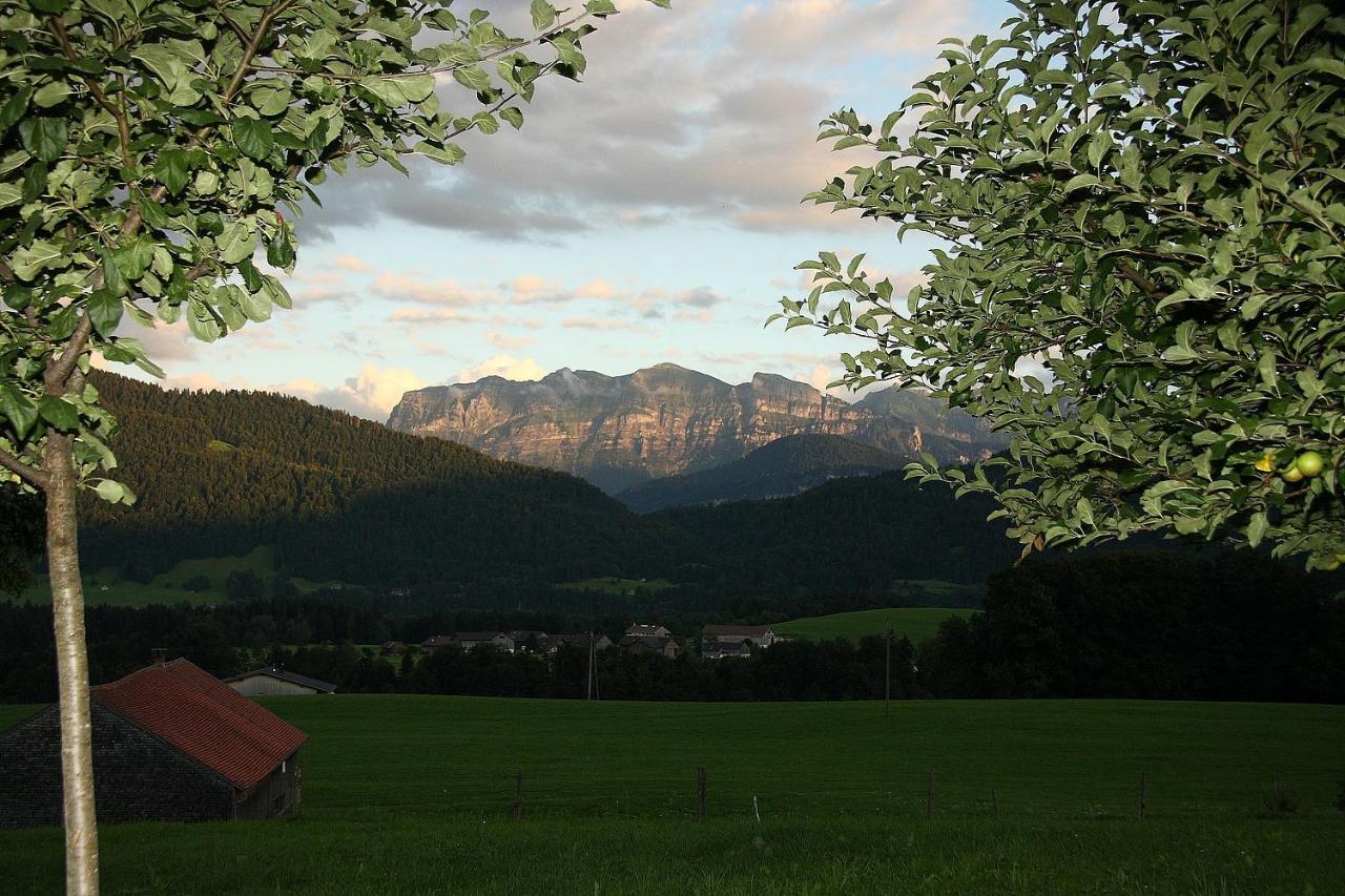 Ferienhof Metzler Schwarzenberg im Bregenzerwald Exterior foto