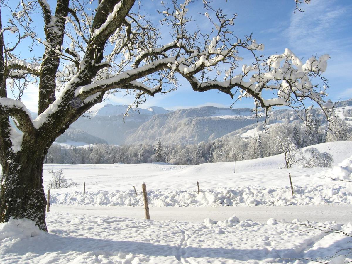 Ferienhof Metzler Schwarzenberg im Bregenzerwald Exterior foto