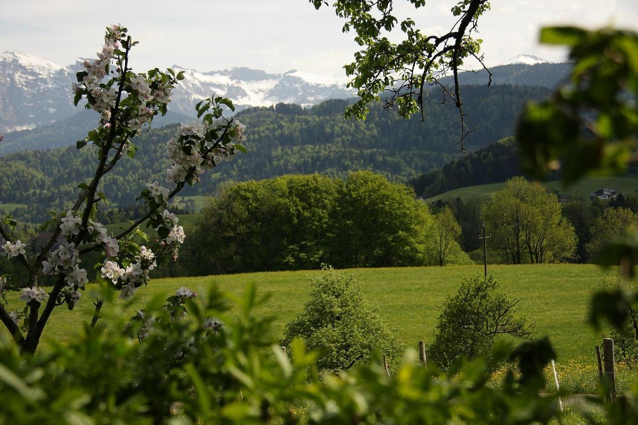 Ferienhof Metzler Schwarzenberg im Bregenzerwald Exterior foto